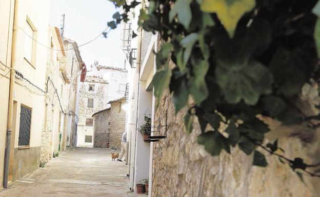 Un pueblo de Valencia quiere desengancharse de la red eléctrica