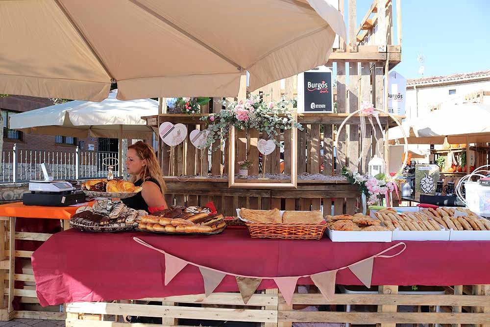 Día de la Provincia en Arcos de la Llana