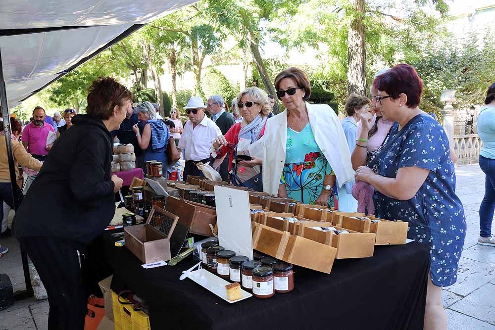 Feria de la Biodiversidad en el Paseo Marceliano Santa María de Burgos