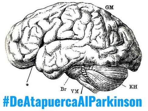 La jornada 'Desde Atapuerca al párkinson de nuestros días', el próximo 18 de octubre en el MEH