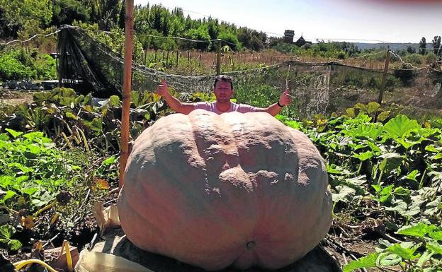 Las calabazas de Palencia son de récord