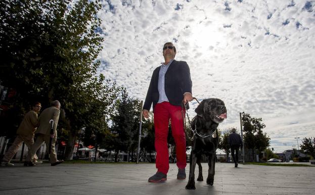 Meira, así es uno de los 44 perros guía que trabajan en Castilla y León