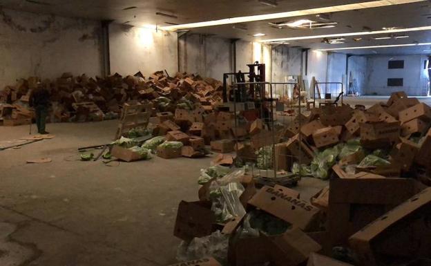 6.000 kilos de cocaína intervenidos en un cargamento de bananas en Málaga