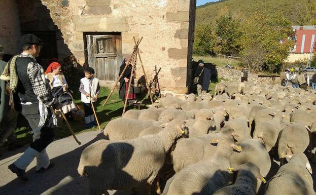 Tolbaños de Arriba retrodece décadas para 'despedir' a sus pastores este sábado