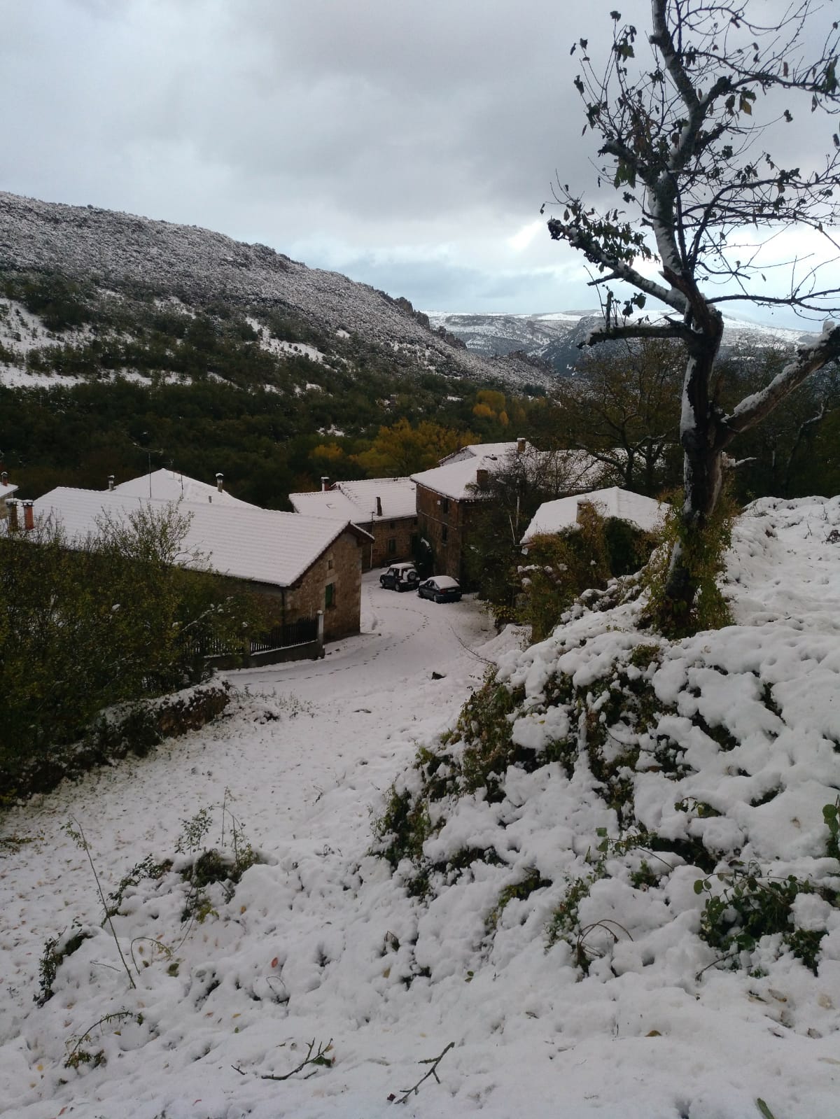 El frío se queda, la nieve se va