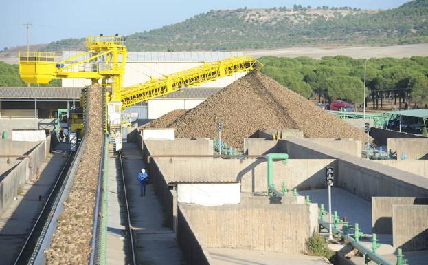 La azucarera Acor cierra el ejercicio con pérdidas de 3,5 millones de euros