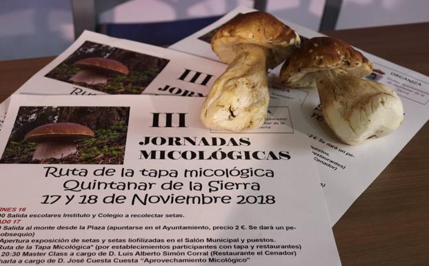 Quintanar de la Sierra celebra sus III Jornadas Micológicas este fin de semana