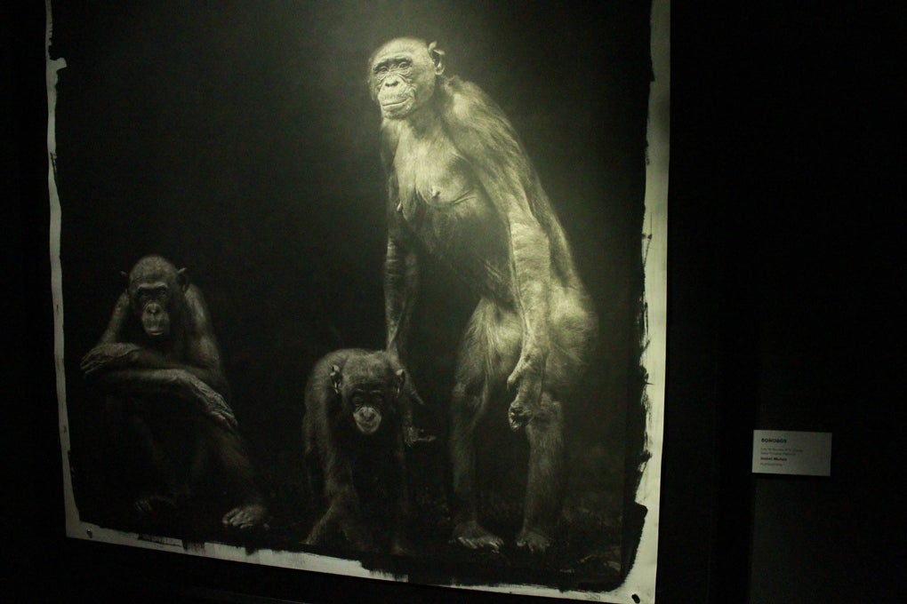 El MEH presenta la exposición 'Discurso para la Academia. Retratos de Isabel Muñoz'