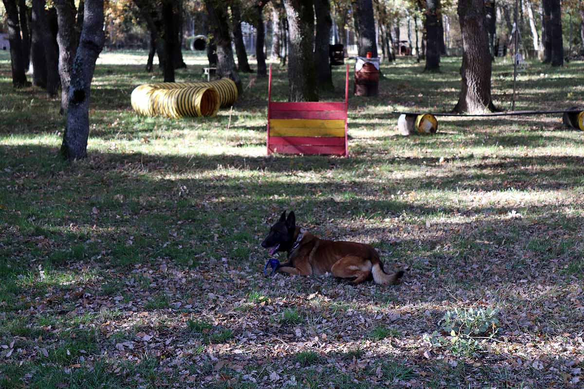 Visita a la unidad canina del Grupo de Rescate Espeleológico y de Montaña de Burgos