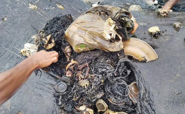 Hallan muerto un cachalote en Indonesia con seis kilos de plástico en el estómago