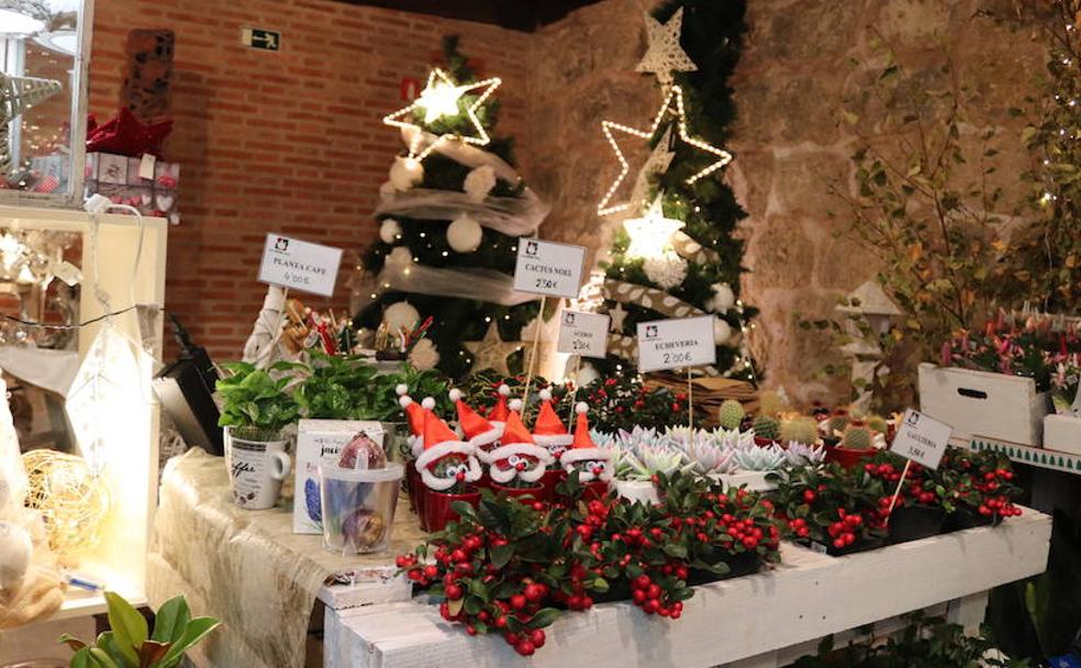 LAS FLORES DE CASTILFALÉ INAUGURAN LA NAVIDAD EN BURGOS