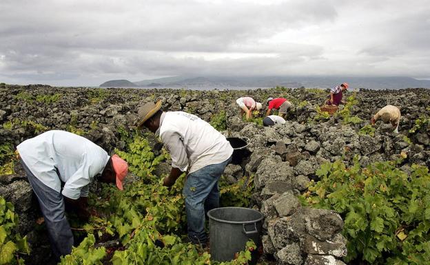 Dos de cada tres trabajadores migrantes están en países de ingresos altos