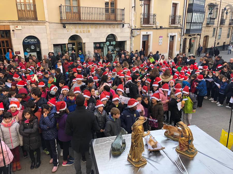 La XVI Cantada Escolar de Villancicos inaugura la Navidad arandina.