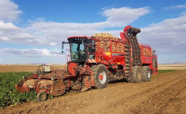 «Con el anuncio de Azucarera nos han dado una puñalada trapera»