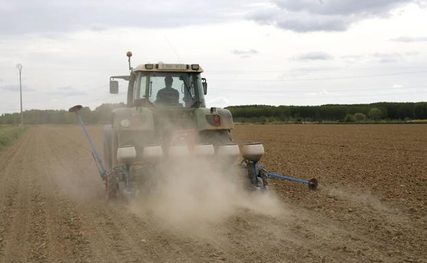 La Junta de Castilla y León destina 80 millones en ayudas para incorporar jóvenes al campo