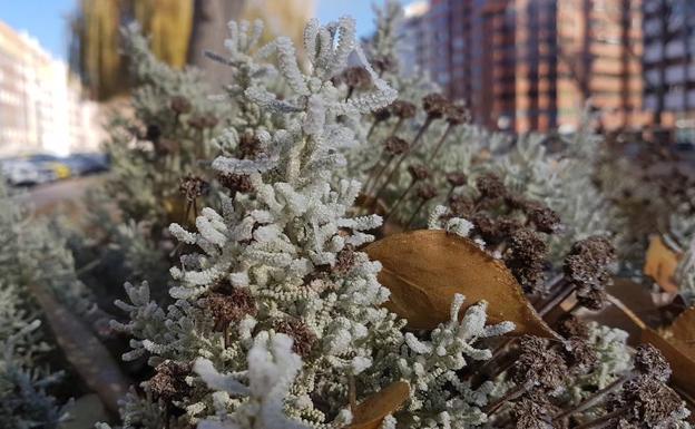 Aviso amarillo por bajas temperaturas, con mínimas de -7º en Burgos