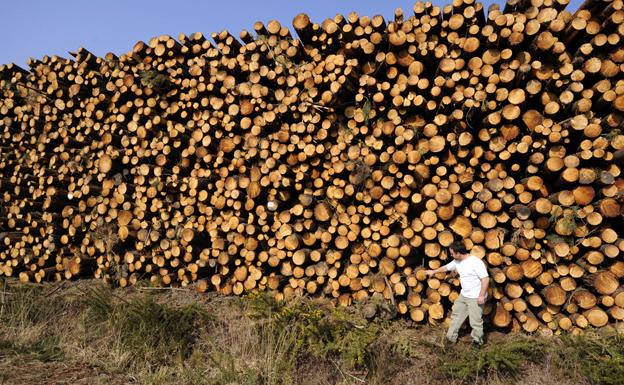 Una empresa de Burgos invertirá dos millones y creará 25 empleos en una fábrica de madera en Soria