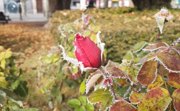 Las mínimas vuelven a caer en Burgos, con -9,6º en Aranda