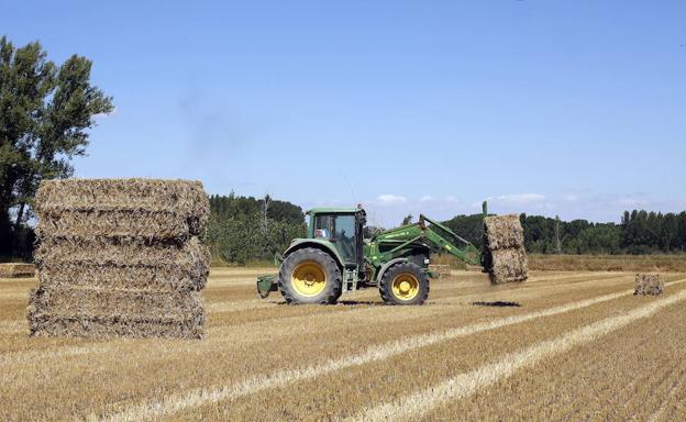 El campo exige un «cambio real» de las políticas agrarias frente a la especulación y la desprofesionalización