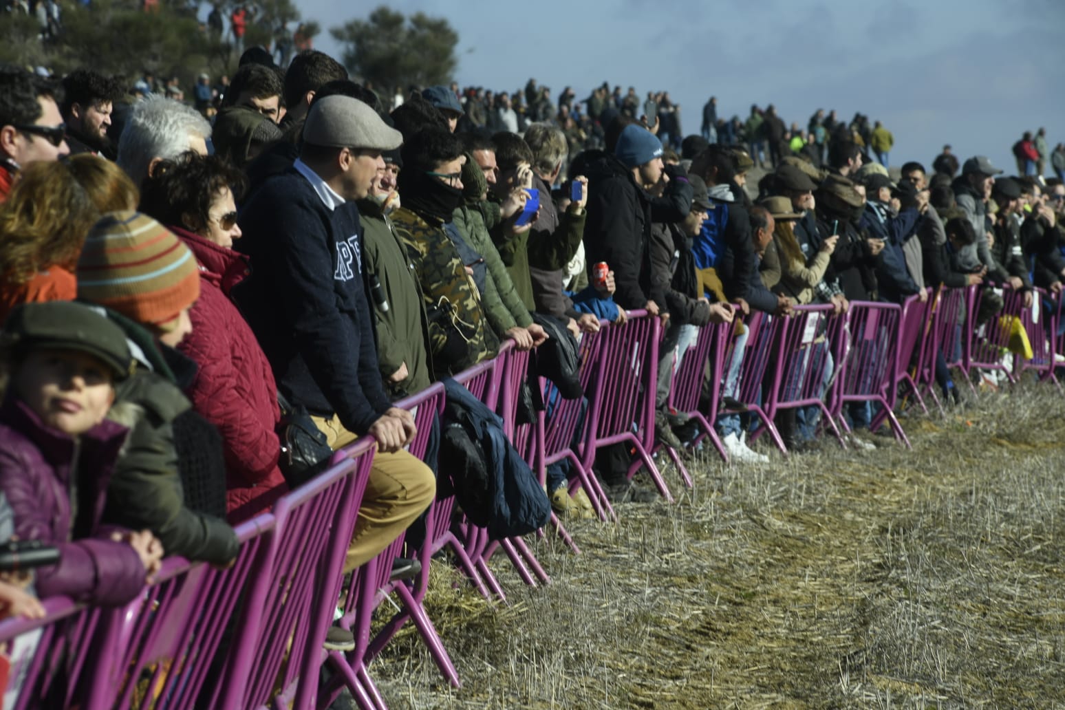 Más de 25.000 personas abarrotan a media mañana el Nacional de Galgos en Nava del Rey