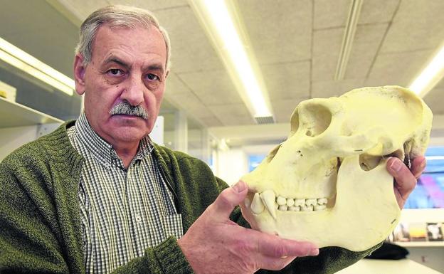 «Hemos reducido la diversidad a una especie: nosotros. Eso es estar en peligro de extinción»