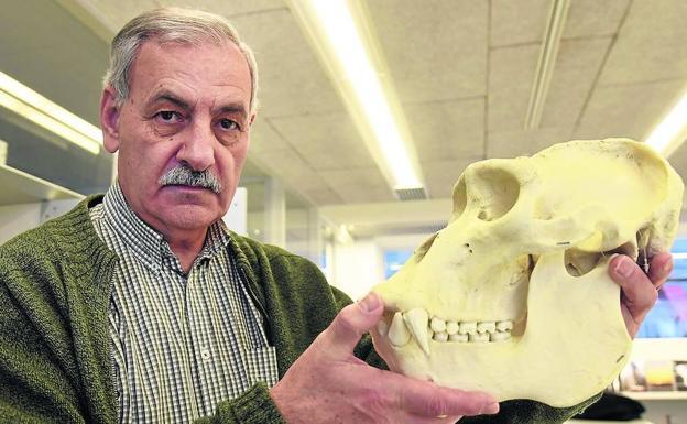 José María Bermúdez: «Hemos reducido la diversidad a una especie: nosotros. Eso es estar en peligro de extinción»