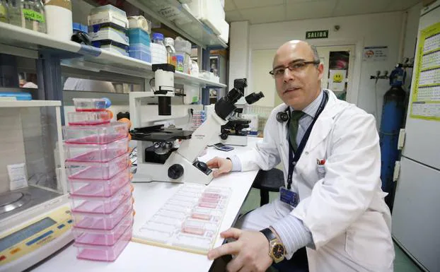Salamanca se postula como referencia para tratar con terapia celular avanzada el cáncer