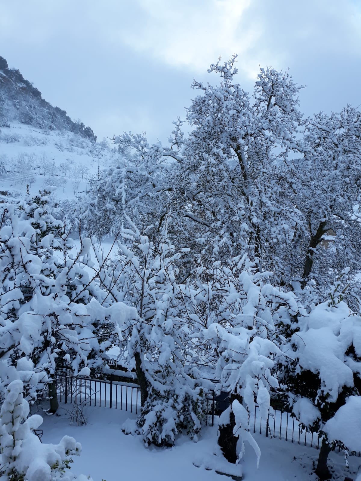 Estas son las imágenes que ha dejado la nieve este fin de semana en Burgos