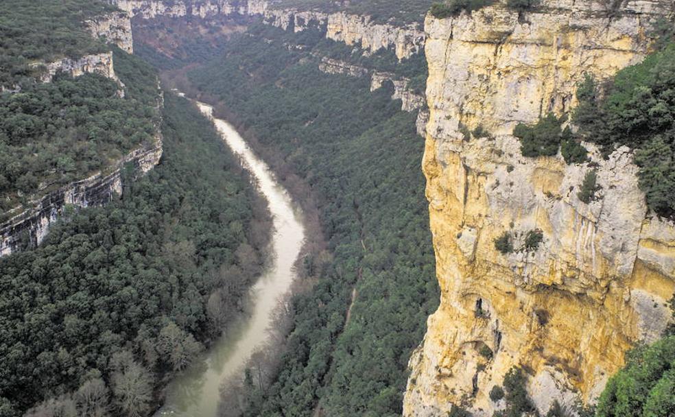 Redescubrir como un pájaro uno de los lugares más refrescantes de Burgos