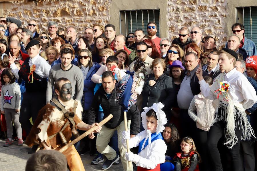 Mecerreyes defiende su gallo de Carnaval