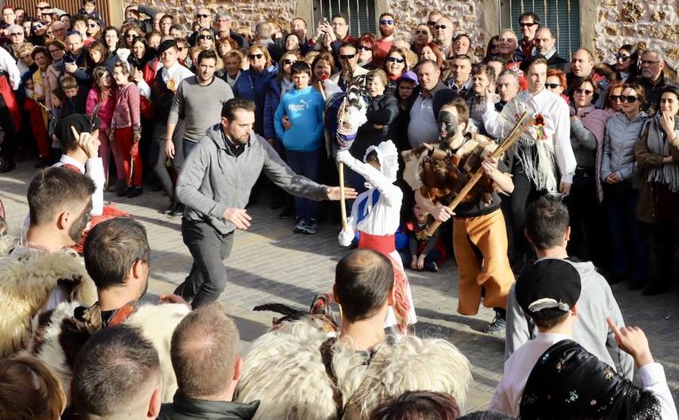 Mecerreyes defiende su gallo de Carnaval