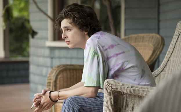 Timothée Chalamet: «La adicción es una enfermedad»