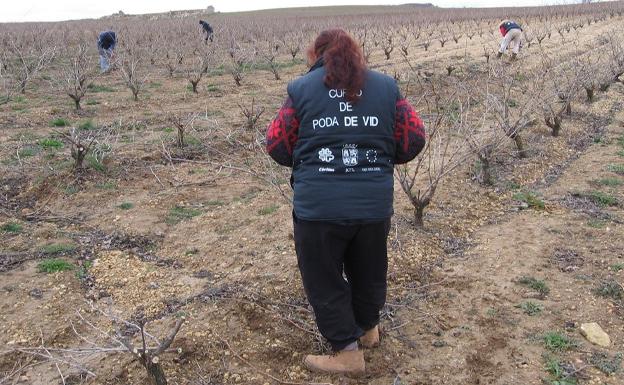 Cáritas desarrolla en la Ribera un proyecto de apoyo al empleo