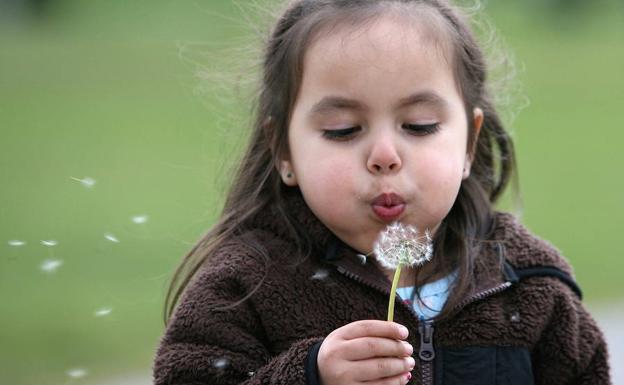 La primavera dará una tregua a los alérgicos al polen en Castilla y León tras el peor invierno en muchos años