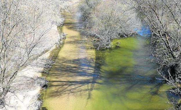 El riego se complica en el Bajo Duero y Las Cogotas pese al buen estado de la cuenca