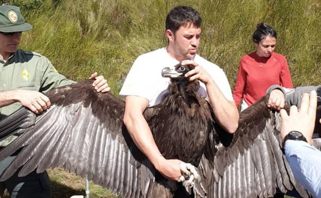 Aurora Nacarino-Brabo (Cs) pide más apoyo para la protección del patrimonio natural burgalés