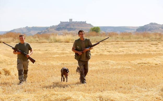 La Junta de Castilla y León avanza que «muy probablemente» se podrá volver a cazar en abril