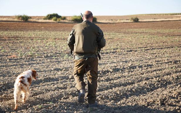 El TSJ rechaza la denuncia de Ecologistas contra la Mesa de las Cortes por tramitar la Ley de Caza