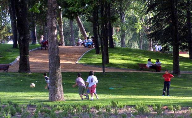 Detenido un joven de 26 años por masturbarse ante tres niñas de 13 y 14 en un parque de Valladolid