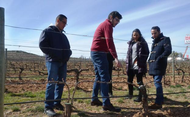 Los importadores animan a Ribera del Duero a abrir nuevos mercados en México