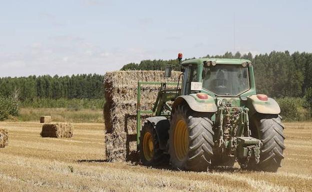 Agricultura controlará las ayudas de la PAC de 500.000 hectáreas a través de satélite