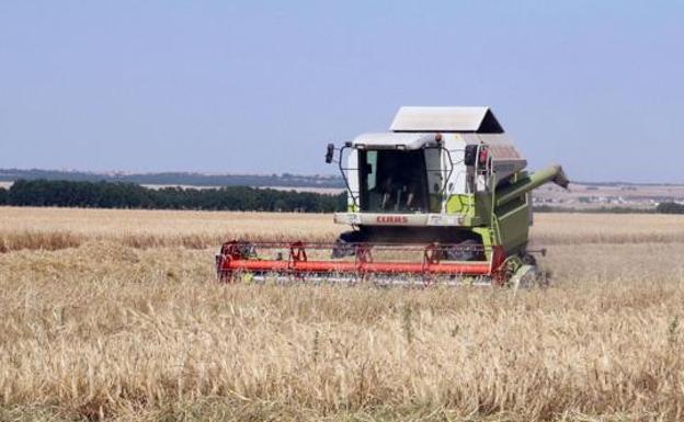 107 jóvenes de Burgos piden ayuda a la Junta para trabajar por primera vez en el sector agrícola