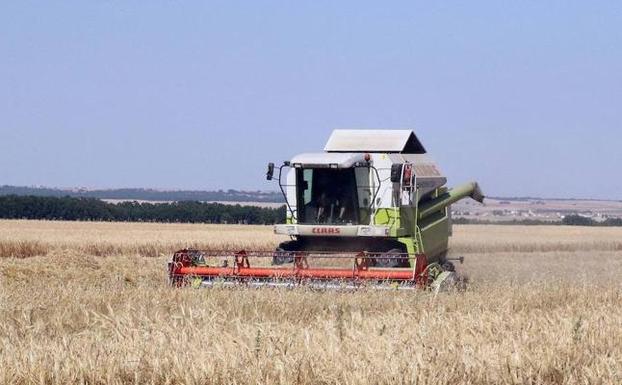 La Junta controlará por satélite la superficie de la PAC a partir de mayo