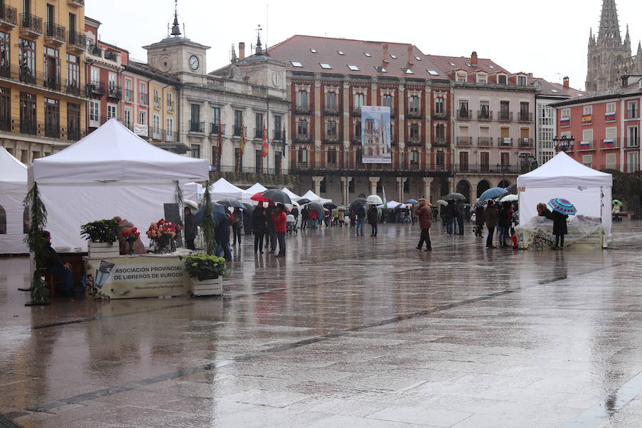 Día del Libro en Burgos