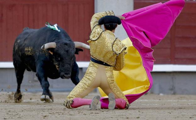 Prohibamos de una vez la tauromaquia