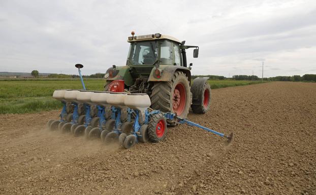 La Consejería de Agricultura amplía el plazo para solicitar las ayudas de la PAC hasta el 10 de mayo