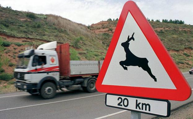 Reclaman a la Junta que ponga coto a la fauna salvaje que daña el campo y ocasiona accidentes de tráfico