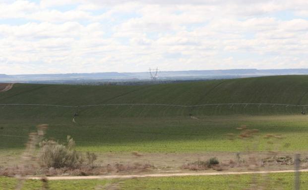 Secano y regadío miran al cielo a la espera de la lluvia que garantice una buena cosecha