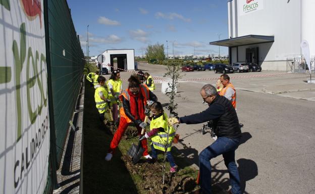 Más de 40 familias participan en el 'Día del arbol' de Campofrío Frescos