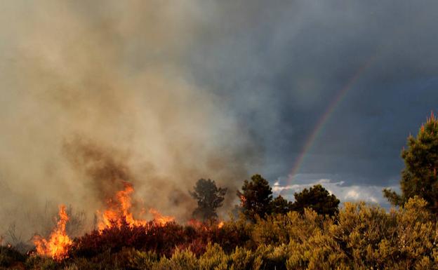 4.000 hectáreas de monte ardieron en la región en los primeros tres meses del año